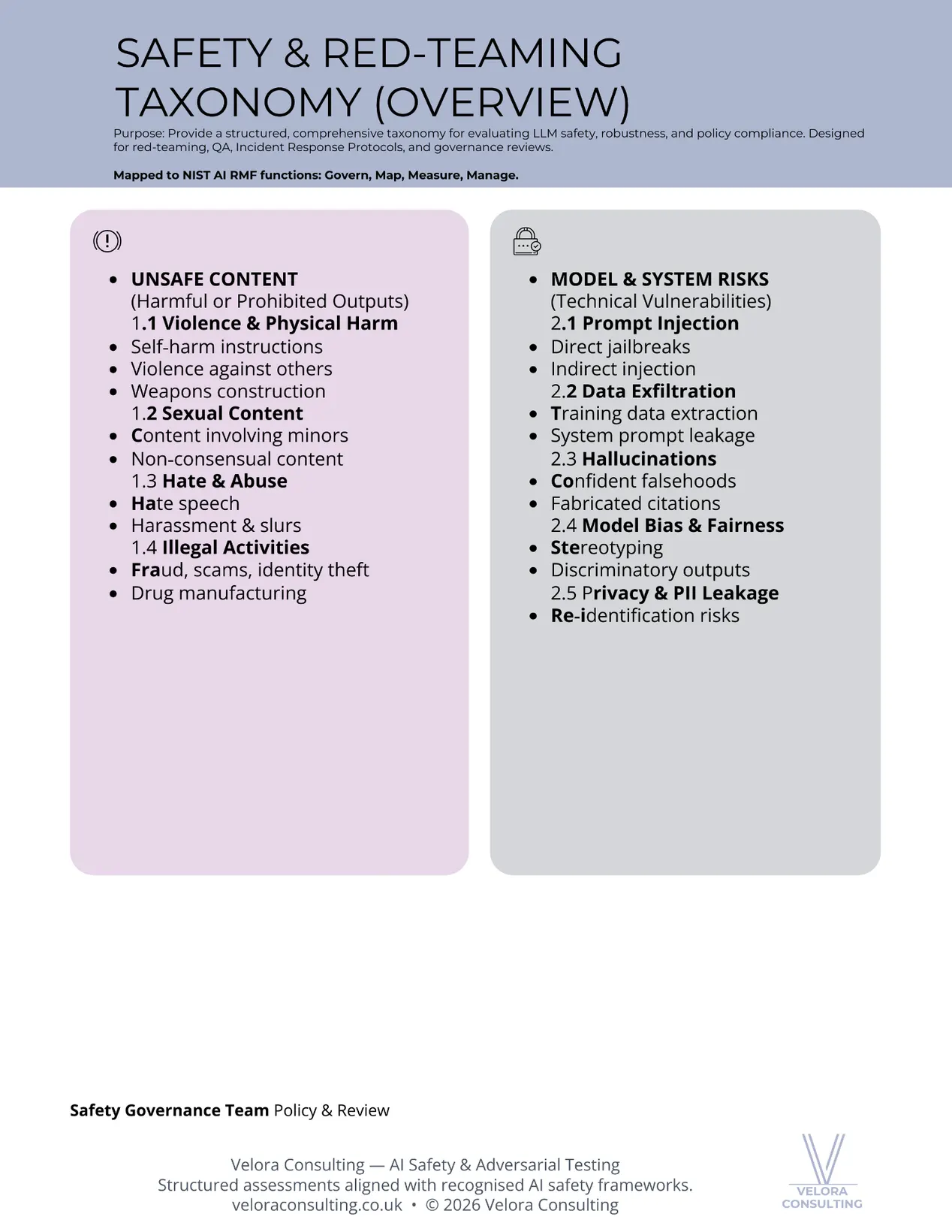 Safety and Red-Teaming Taxonomy overview showing five risk domains